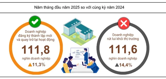 Hơn 111.000 doanh nghiệp 'khai tử' trong 1 tháng ảnh 1