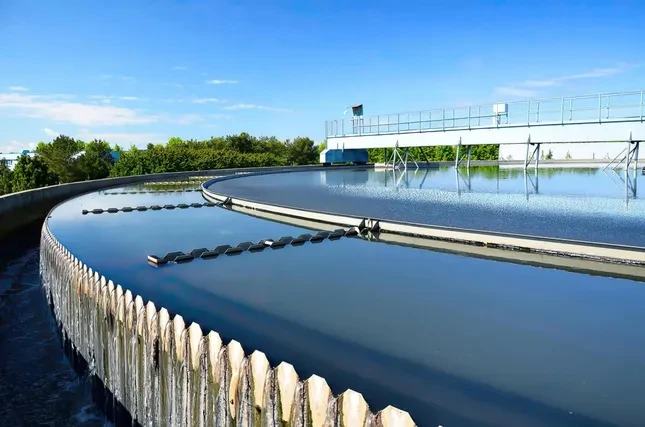 Chuyển đổi xanh: 'Nếu không đạt chuẩn, doanh nghiệp sẽ bị loại khỏi sân chơi' ảnh 2