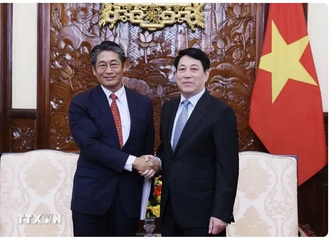 Chủ tịch nước Lương Cường tiếp Đại sứ Nhật Bản tại Việt Nam ảnh 1