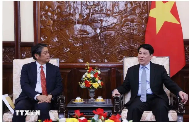 Chủ tịch nước Lương Cường tiếp Đại sứ Nhật Bản tại Việt Nam ảnh 2