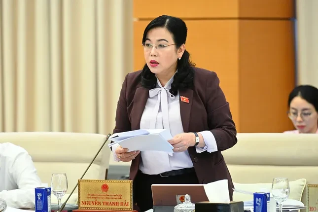 Có đại biểu Quốc hội 3 - 4 chức nhưng không biết ai bổ nhiệm ảnh 1