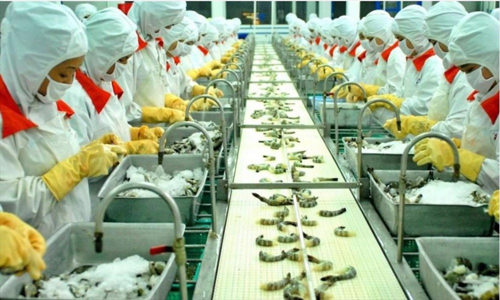 Việt Nam còn 31 ngày 'deal thuế' Mỹ: Xuất khẩu thủy sản chững lại trước giờ G, VASEP cảnh báo kịch bản xấu