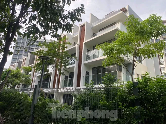 Nhà phố thương mại hiệu quả không như kỳ vọng ảnh 2