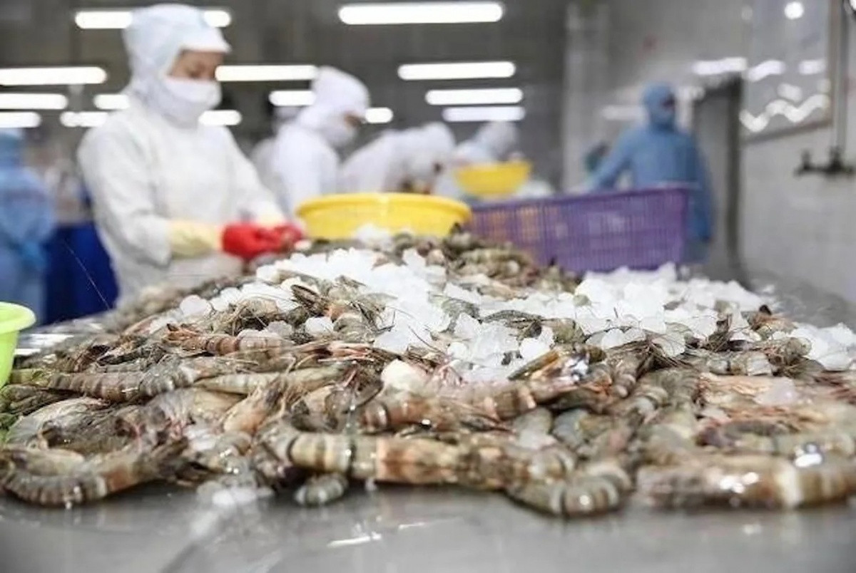 Mặt hàng thuỷ sản mang về cho Việt Nam 1,3 tỷ USD bất ngờ nhận kết luận sơ bộ, áp thuế tới 35% tại Mỹ