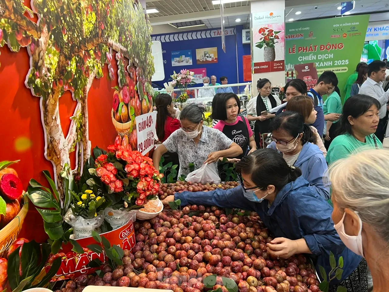 Bất ngờ với giá mận hậu vào mùa ở TPHCM ảnh 3
