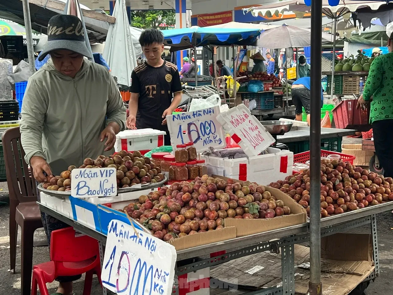 Bất ngờ với giá mận hậu vào mùa ở TPHCM ảnh 5
