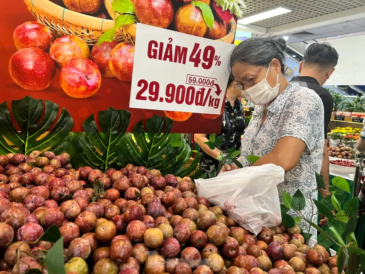 Bất ngờ với giá mận hậu vào mùa ở TPHCM ảnh 1