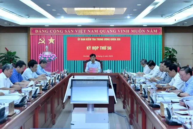 Nhân sự tham gia Uỷ ban kiểm tra phải 'kê khai tài sản, thu nhập trung thực, minh bạch' ảnh 1