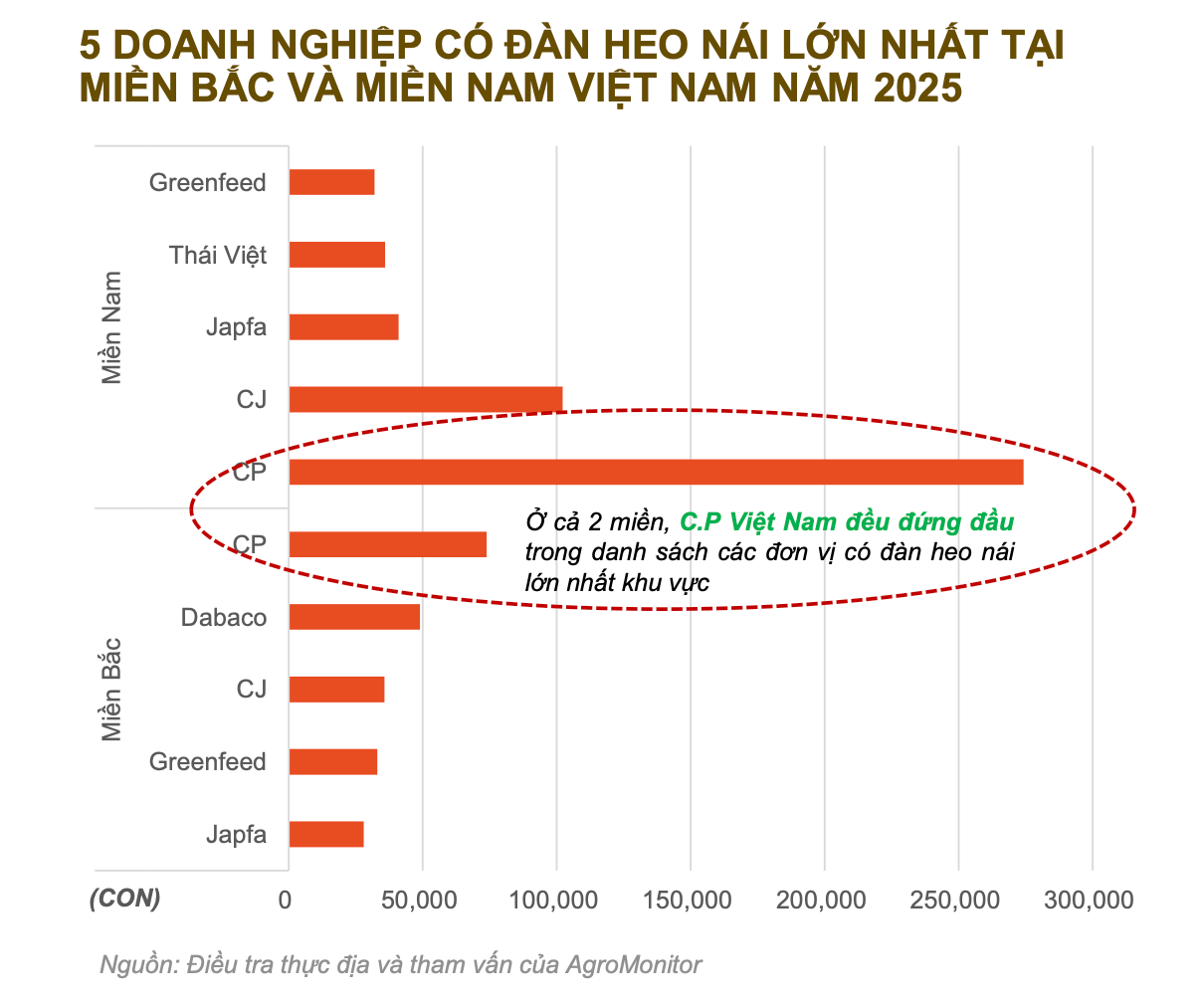 dan heo nai