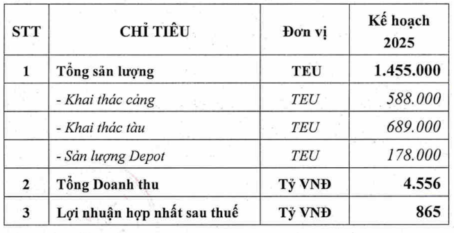 Kịch bản Mỹ - Trung lặp lại, doanh nghiệp Việt có đội tàu container Top 100 thế giới lên kế hoạch lãi kỷ lục