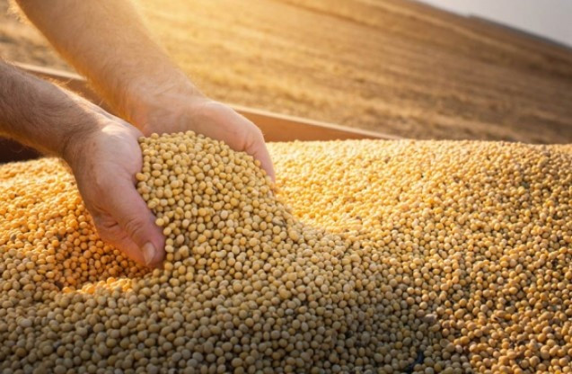Trung Quốc ngừng nhập khẩu một mặt hàng từ Mỹ, một quốc gia bất ngờ hưởng lợi lớn khi đơn hàng tăng mạnh