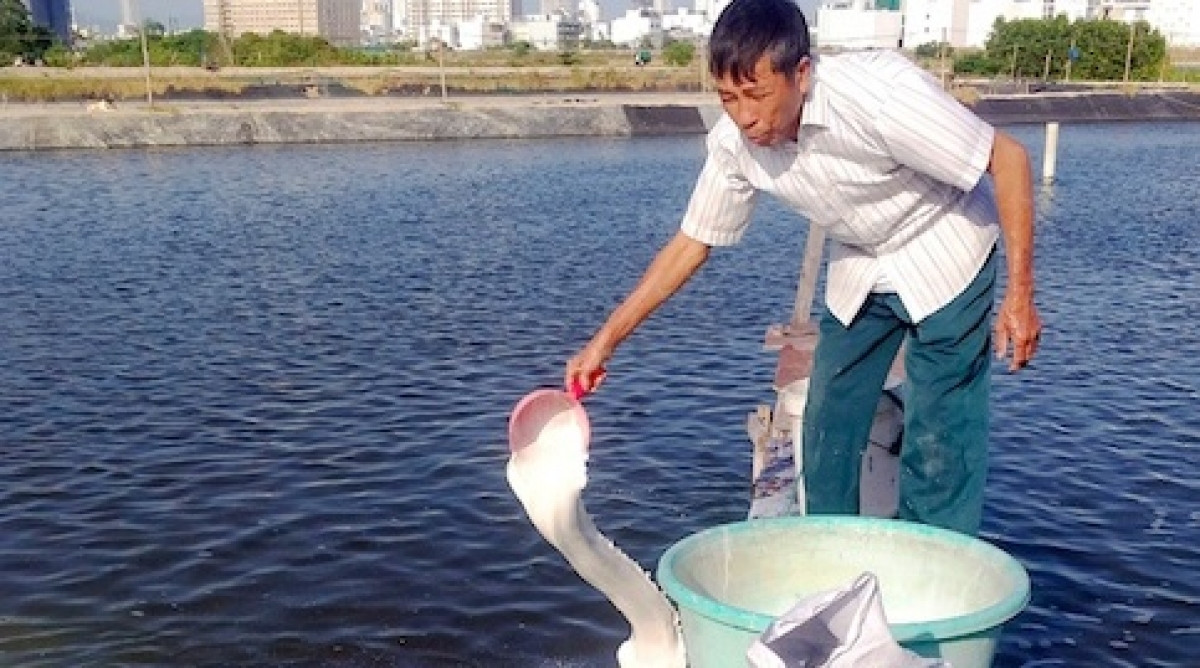 Cụ ông 76 tuổi điều hành đường dây làm giả thức ăn tôm hàng chục tấn