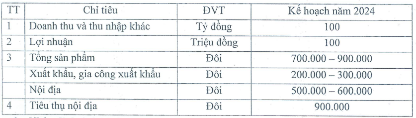 10 năm khốn khó của Giày Thượng Đình (GTD) và những hồi chuông kiểm toán