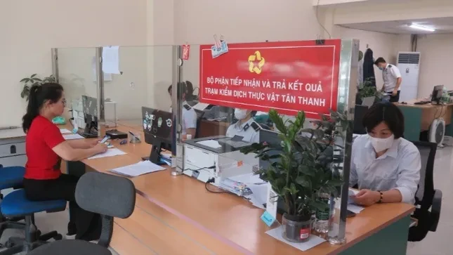 Mở ‘luồng xanh’ cho hoa quả tươi qua Lạng Sơn sang Trung Quốc ảnh 1
