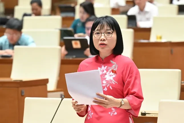 Mức phạt quá cao so với khả năng chi trả có thể dẫn đến trốn tránh, tiêu cực ảnh 1