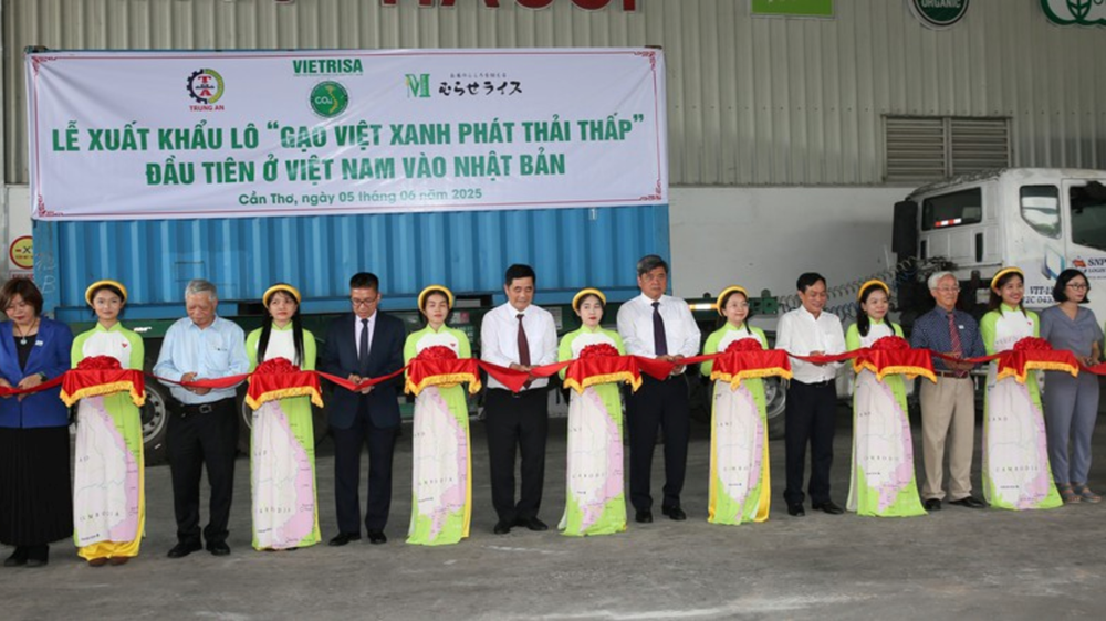 Dân Nhật đội mưa mấy tiếng đồng hồ xếp hàng mua gạo: Cơ hội vàng để Việt Nam sắm vai ‘vị cứu tinh’ ở thị trường khó tính - ảnh 3