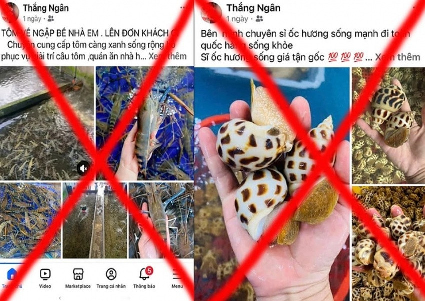 Những ai từng giao dịch mua bán với các nick Facebook - Zalo sau cần khẩn trương liên hệ Công an