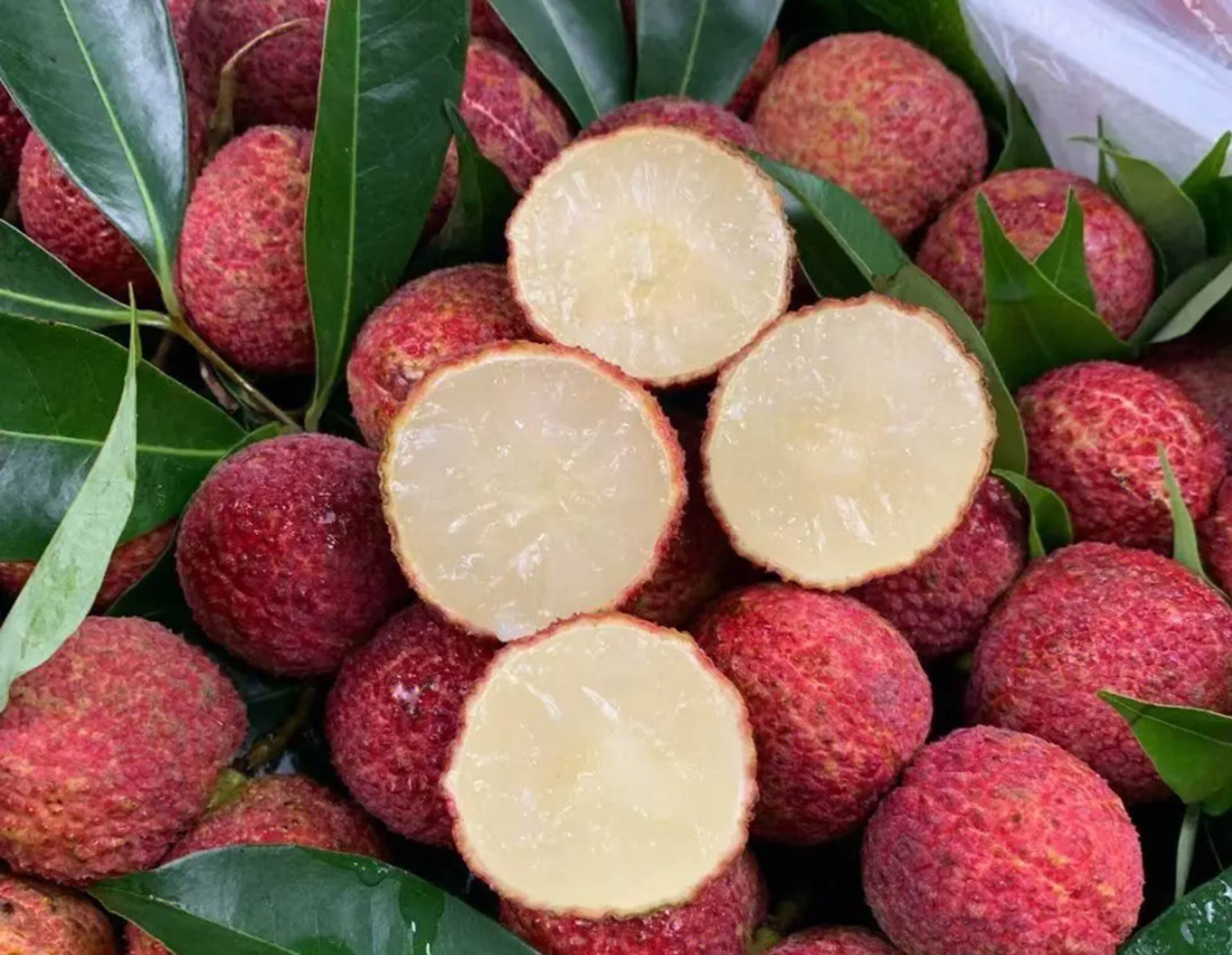 vai thieu 5.jpg