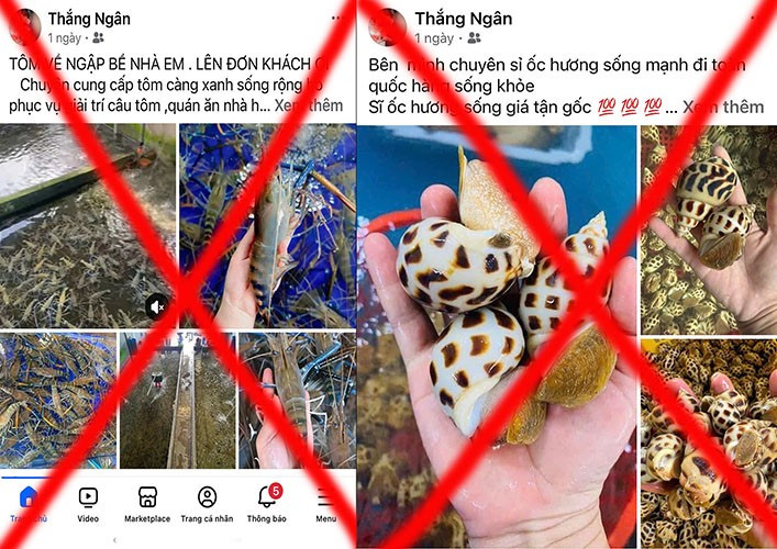 Khởi tố 2 vợ chồng bán hải sản - ảnh 2
