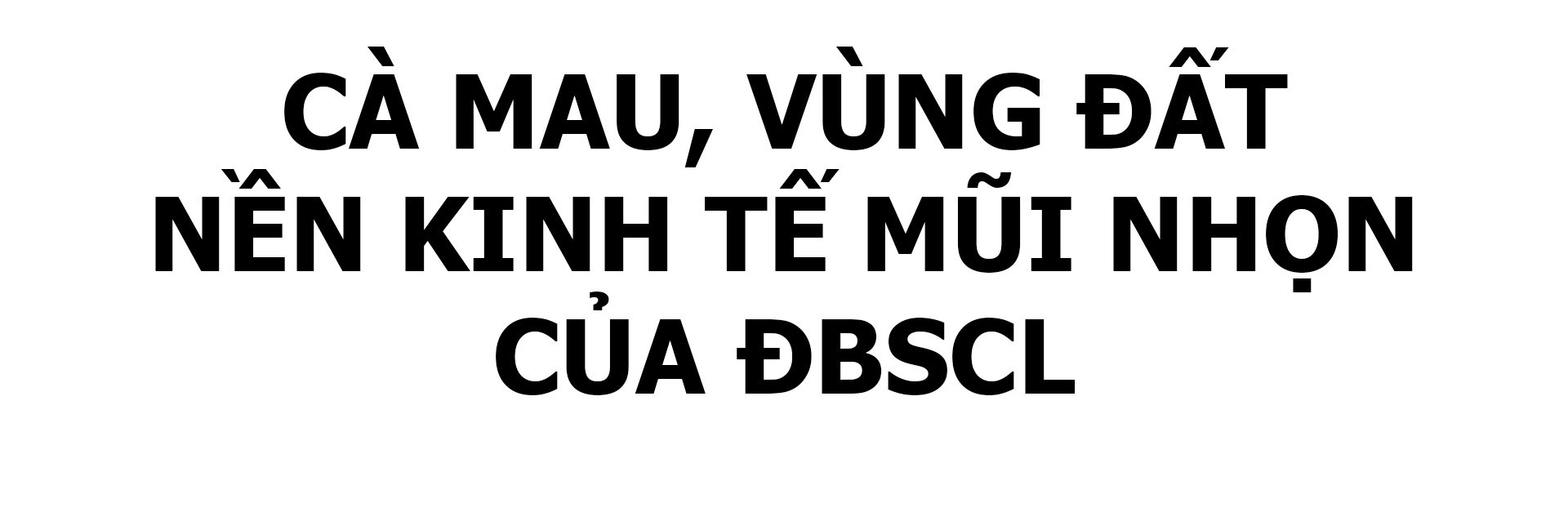 Untitled 1.jpg