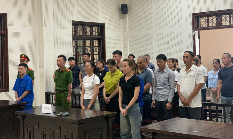 Tuyên án tù Vũ Thanh Tùng cùng 8 đồng phạm - ảnh 1