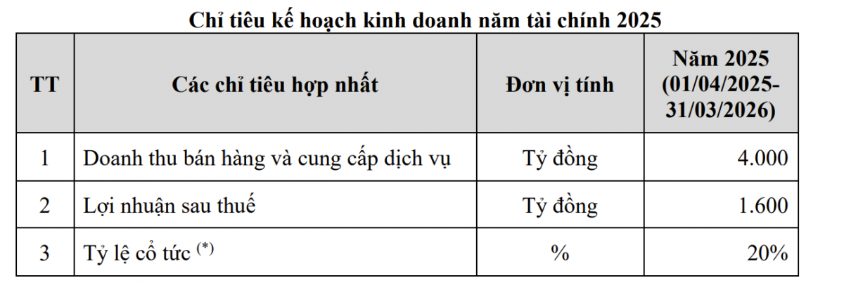 Doanh nghiệp ‘họ’ Hoàng Huy đặt mục tiêu lãi 1.600 tỷ đồng, rục rịch hoàn tất thủ tục niêm yết trên HoSE