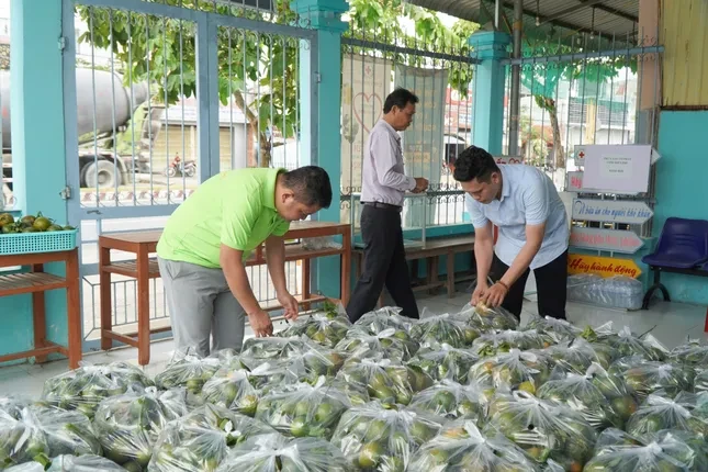 Nhiều loại trái cây rớt giá 'không lối thoát' ảnh 3