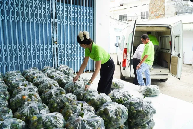 Nhiều loại trái cây rớt giá 'không lối thoát' ảnh 1