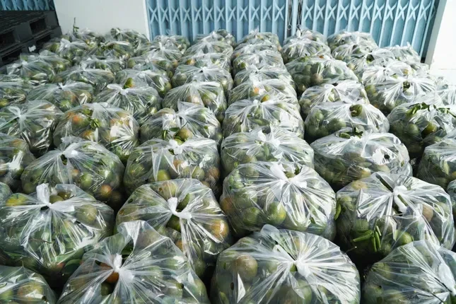 Nhiều loại trái cây rớt giá 'không lối thoát' ảnh 2