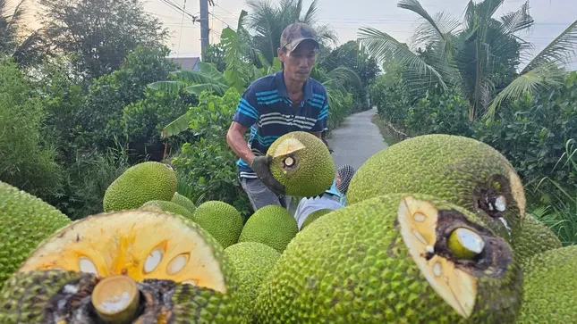 Nhiều loại trái cây rớt giá 'không lối thoát' ảnh 4