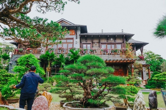 Lãnh đạo FPT sở hữu biệt thự rộng 3.000m2: Sân vườn là ‘rừng cổ thụ’ trăm tuổi cùng bộ sưu tập đá quý cực giá trị- Ảnh 2. Lãnh đạo FPT sở hữu biệt thự rộng 3.000m2: Sân vườn là ‘rừng cổ thụ’ trăm tuổi cùng bộ sưu tập đá quý cực giá trị- Ảnh 2.