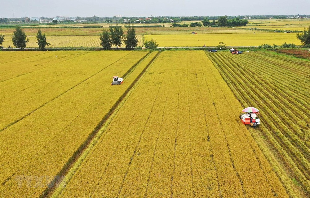 Kể từ nay, chuyển đất nông nghiệp sang đất thổ cư cần đặc biệt chú ý điều này- Ảnh 1. Kể từ nay, chuyển đất nông nghiệp sang đất thổ cư cần đặc biệt chú ý điều này- Ảnh 1.