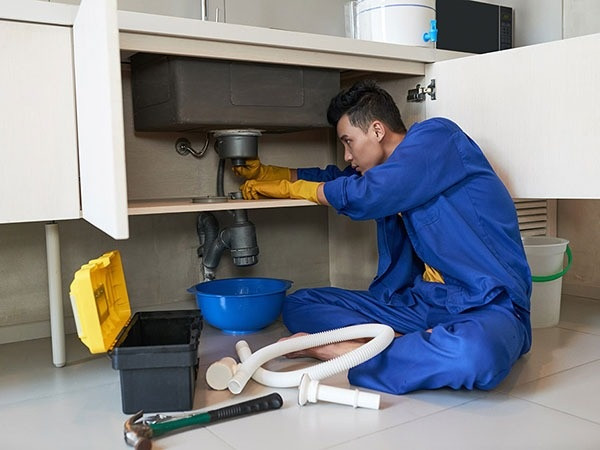 Nghề gì còn sống trong kỷ nguyên AI? Cha đẻ trí tuệ nhân tạo chỉ đích danh