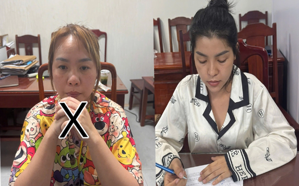 Khám xét nơi ở, bắt Nguyễn Thị Hồng Nhung - ảnh 1