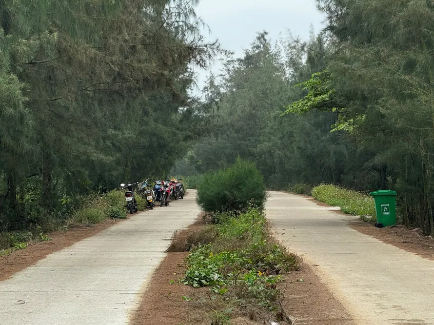 Khởi tố 2 giám đốc - ảnh 3