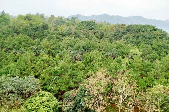 Vùng đất sở hữu ‘Thụy Sĩ của Việt Nam’ sắp hình thành 11 điểm phát triển du lịch sinh thái, nghỉ dưỡng, giải trí- Ảnh 1. Vùng đất sở hữu ‘Thụy Sĩ của Việt Nam’ sắp hình thành 11 điểm phát triển du lịch sinh thái, nghỉ dưỡng, giải trí- Ảnh 1.
