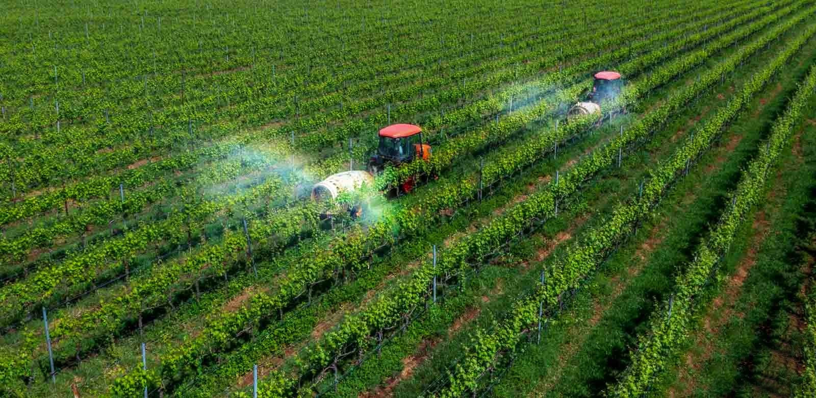 Từ 1/7, sẽ có thay đổi lớn đối với trường hợp được miễn thuế đất nông nghiệp- Ảnh 2. Từ 1/7, sẽ có thay đổi lớn đối với trường hợp được miễn thuế đất nông nghiệp- Ảnh 2.