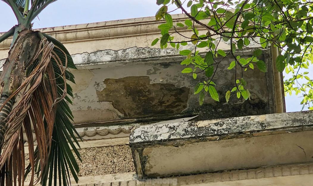 Căn biệt thự bỏ hoang hàng thập niên giữa lòng TP: Thuộc diện không được bán, nay sắp trở thành nơi đặc biệt- Ảnh 5. Căn biệt thự bỏ hoang hàng thập niên giữa lòng TP: Thuộc diện không được bán, nay sắp trở thành nơi đặc biệt- Ảnh 5.