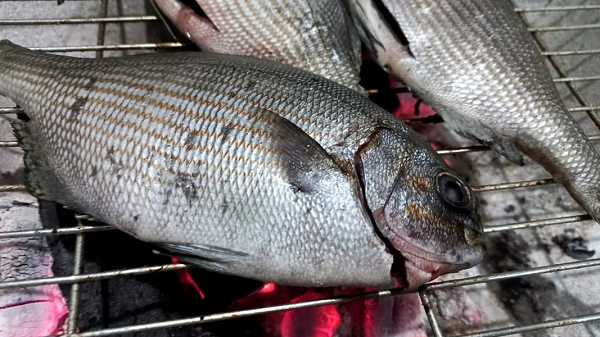Từng ít người biết đến, loại cá tên nghe 'khiếp vía' nay thành đặc sản đắt đỏ: Giá tới 200.000 đồng/kg, nhiều người săn lùng