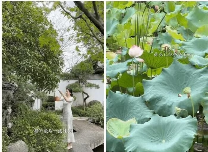 Bên trong biệt phủ triệu đô 1.200m2 giữa lòng phố cổ của 'phú bà' 2,7 triệu fan- Ảnh 3. Bên trong biệt phủ triệu đô 1.200m2 giữa lòng phố cổ của 'phú bà' 2,7 triệu fan- Ảnh 3.