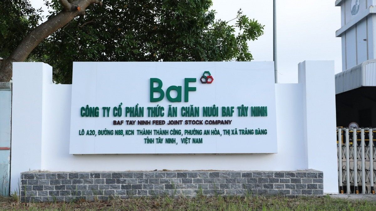 Hiệu suất sinh lời áp đảo VN-Index, quỹ ETF vừa thêm món chính BAF vào thực đơn