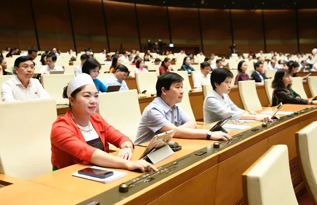 Quốc hội 'chốt' tổ chức, bộ máy mới của tòa án và viện kiểm sát ảnh 1