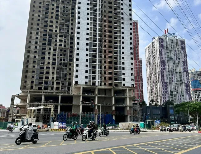 Giá nhà đất 'đua nhau' tăng, người mua lãnh đủ ảnh 1