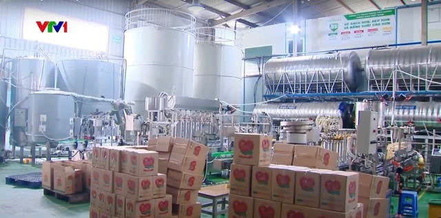 Cận cản quy trình tái chế dầu thức ăn chăn nuôi 'phù phép' thành dầu ăn Ofood cho người tại Nhật Minh Food Cận cản quy trình tái chế dầu thức ăn chăn nuôi 'phù phép' thành dầu ăn Ofood cho người tại Nhật Minh Food