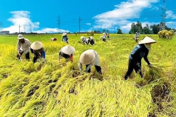 Thấy gì từ việc các tỉnh bỗng dưng có biển, quy mô nông nghiệp rất lớn? ảnh 3