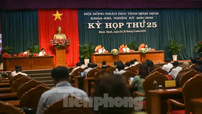 Vì sao doanh nghiệp ở Bình Định ồ ạt dừng hoạt động, giải thể? ảnh 1