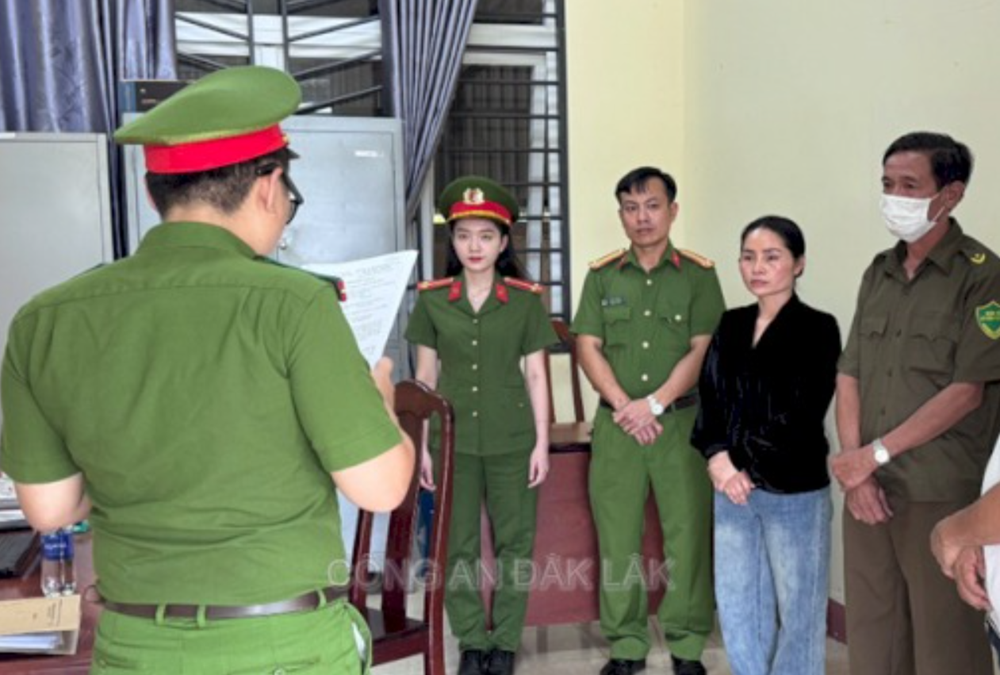 Khởi tố, bắt tạm giam Giám đốc Nguyễn Thị Hợi, thu giữ hơn 1.600 sản phẩm là hàng giả - ảnh 1
