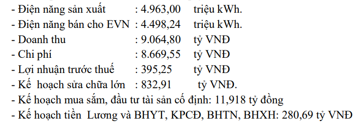 Cổ đông REE gây sức ép cải tổ chiến lược điện, phủ quyết nhiều nội dung: Lãnh đạo PPC ‘án binh bất động’