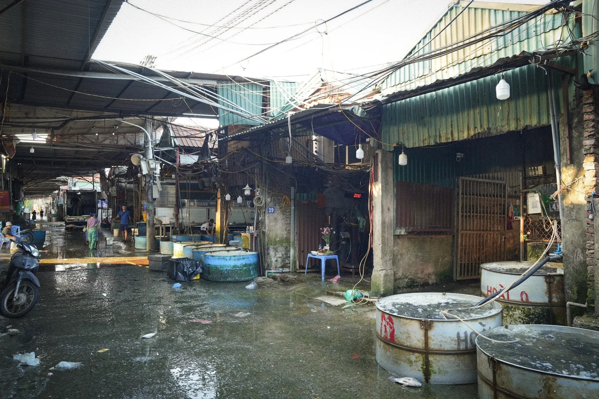 Bên trong chợ đầu mối thủy sản lớn nhất Thủ đô: Xuống cấp, chật chội, nhếch nhác ảnh 2