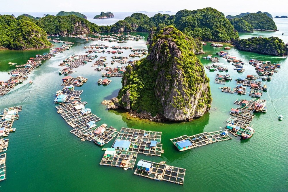 Huyện đảo của Việt Nam sắp lên đặc khu kinh tế: Sở hữu ‘mỏ vàng’ di sản được UNESCO công nhận, nối đất liền bằng cầu vượt biển dài nhất cả nước - ảnh 5